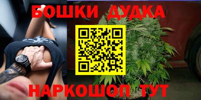 гидра Бузулук