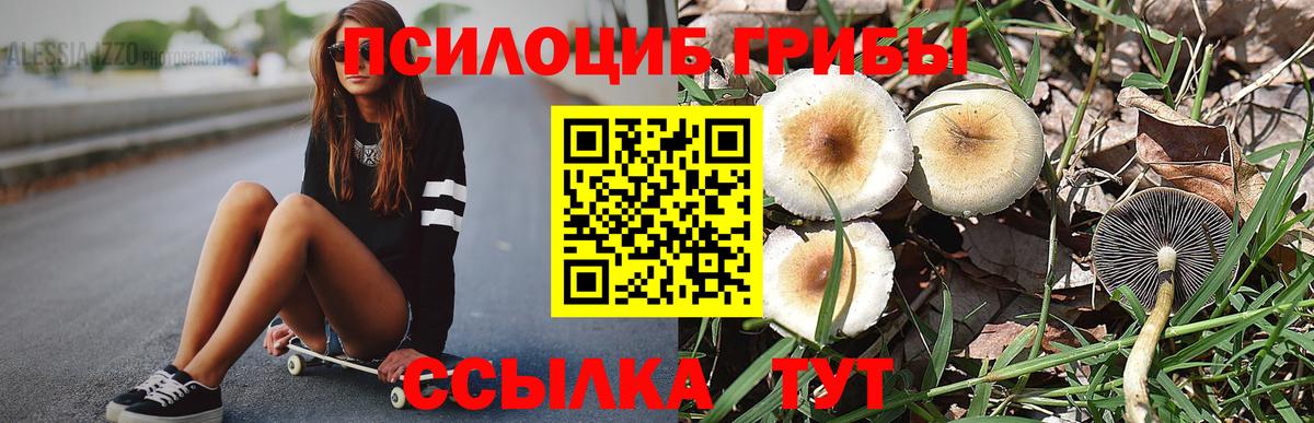 даркнет сайт  Псилоцибиновые грибы Cubensis  Вход с VPN  Магнитогорск 